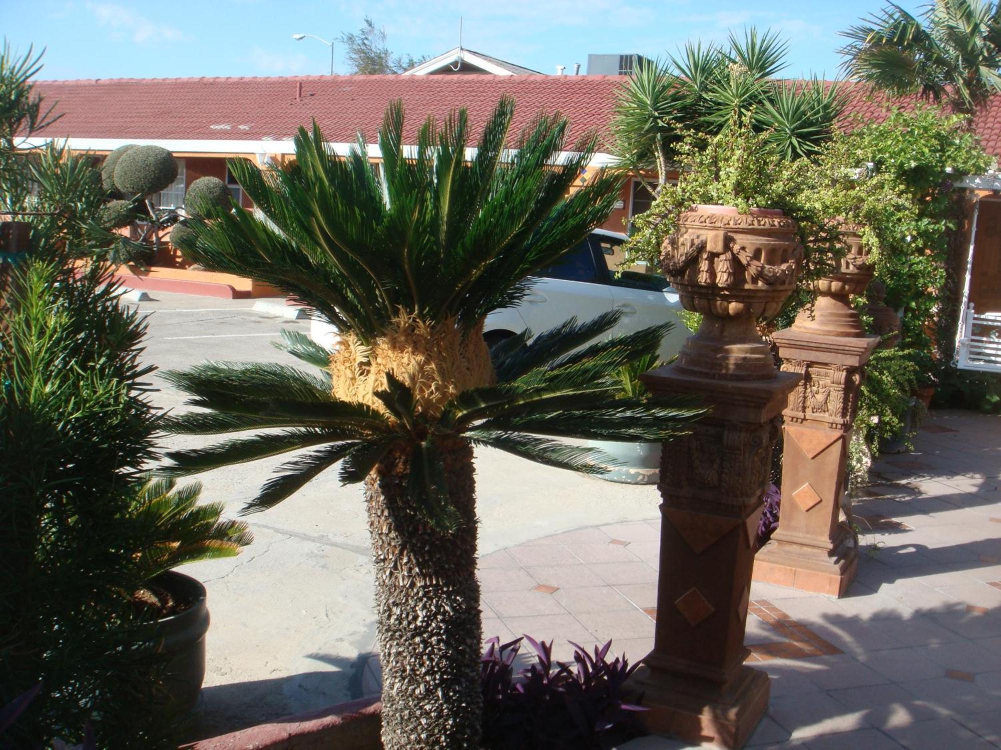 Economy Inn Los Banos Kültér fotó